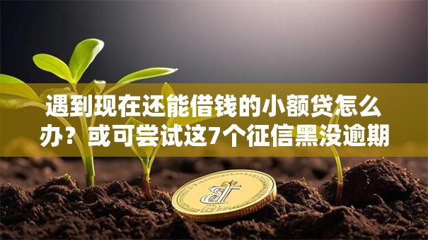 遇到现在还能借钱的小额贷怎么办？或可尝试这7个征信黑没逾期平台可以贷到钱