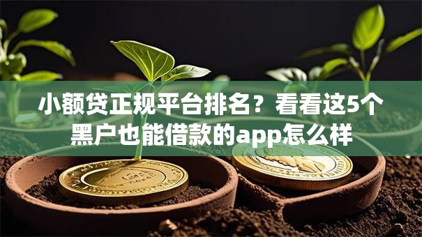 小额贷正规平台排名？看看这5个黑户也能借款的app怎么样