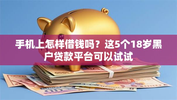 手机上怎样借钱吗？这5个18岁黑户贷款平台可以试试