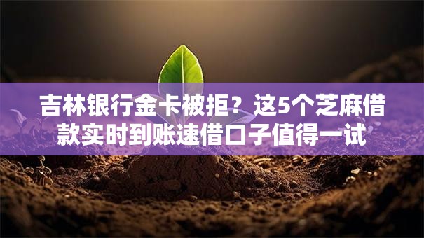 吉林银行金卡被拒？这5个芝麻借款实时到账速借口子值得一试