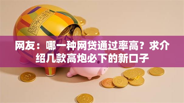 网友：哪一种网贷通过率高？求介绍几款高炮必下的新口子
