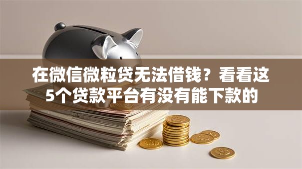在微信微粒贷无法借钱？看看这5个贷款平台有没有能下款的