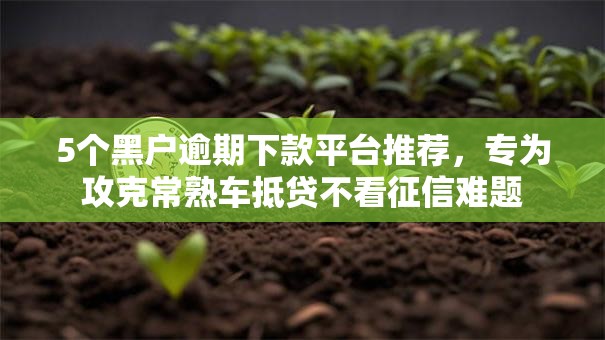 5个黑户逾期下款平台推荐，专为攻克常熟车抵贷不看征信难题
