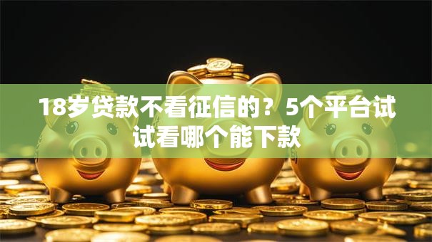 18岁贷款不看征信的？5个平台试试看哪个能下款