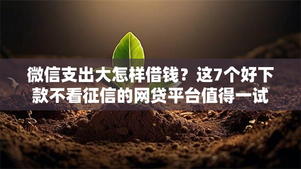 微信支出大怎样借钱？这7个好下款不看征信的网贷平台值得一试