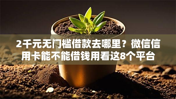 2千元无门槛借款去哪里？微信信用卡能不能借钱用看这8个平台