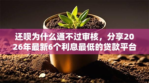 还呗为什么通不过审核，分享2026年最新6个利息最低的贷款平台