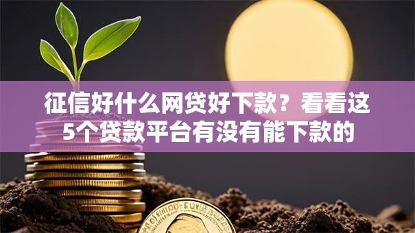 征信好什么网贷好下款？看看这5个贷款平台有没有能下款的