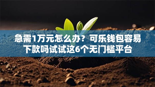 急需1万元怎么办？可乐钱包容易下款吗试试这6个无门槛平台