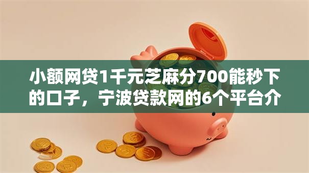 小额网贷1千元芝麻分700能秒下的口子，宁波贷款网的6个平台介绍