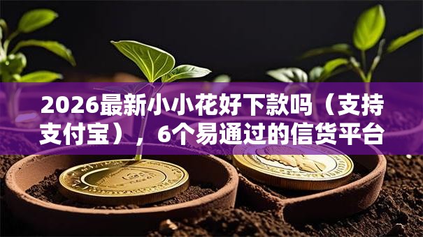2026最新小小花好下款吗(支持支付宝),6个易通过的信货平台无私分享 2026最新小小花好下款吗(支持支付宝),6个易通过的信货平台无私分享