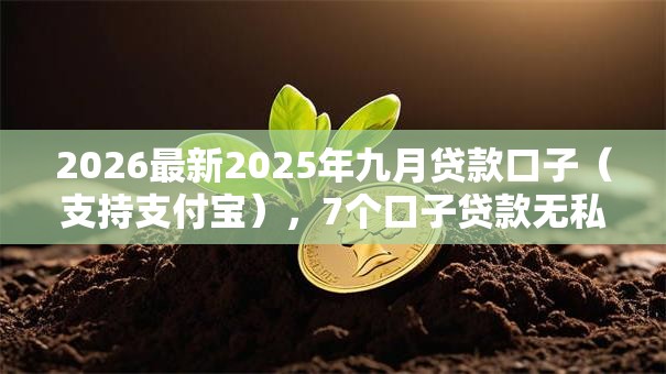 2026最新2025年九月贷款口子（支持支付宝），7个口子贷款无私分享