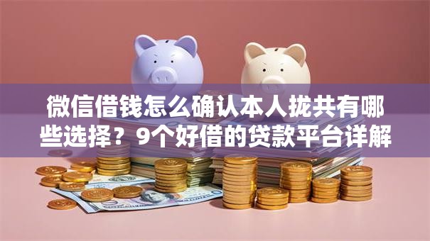 微信借钱怎么确认本人拢共有哪些选择？9个好借的贷款平台详解