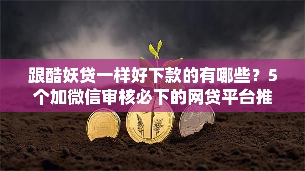 跟酷妖贷一样好下款的有哪些？5个加微信审核必下的网贷平台推荐给你