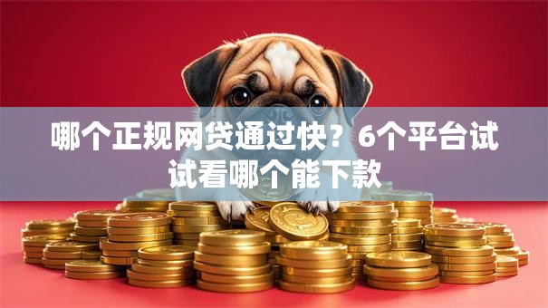 哪个正规网贷通过快？6个平台试试看哪个能下款