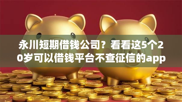 永川短期借钱公司？看看这5个20岁可以借钱平台不查征信的app怎么样