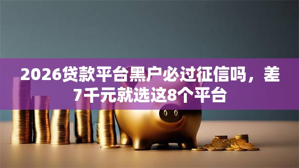 2026贷款平台黑户必过征信吗，差7千元就选这8个平台