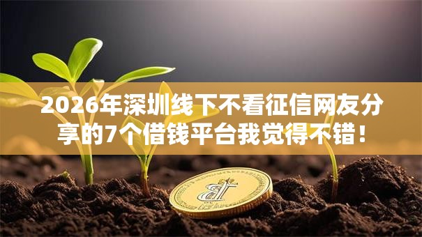 2026年深圳线下不看征信网友分享的7个借钱平台我觉得不错! 2026年深圳线下不看征信网友分享的7个借钱平台我觉得不错!