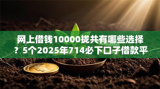 网上借钱10000拢共有哪些选择？5个2025年714必下口子借款平台详解