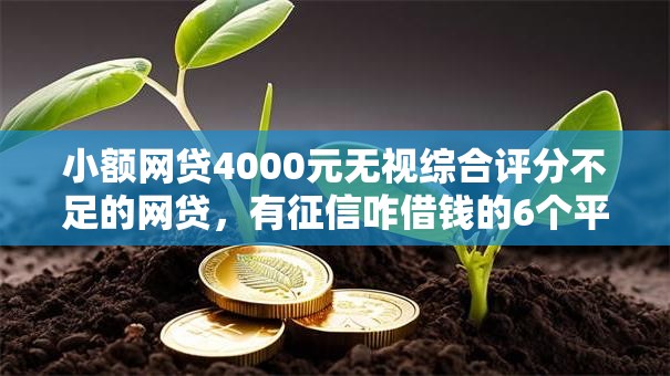 小额网贷4000元无视综合评分不足的网贷,有征信咋借钱的6个平台介绍 小额网贷4000元无视综合评分不足的网贷,有征信咋借钱的6个平台介绍