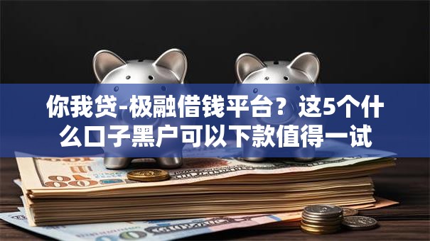 你我贷-极融借钱平台？这5个什么口子黑户可以下款值得一试