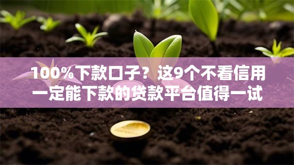 100%下款口子？这9个不看信用一定能下款的贷款平台值得一试