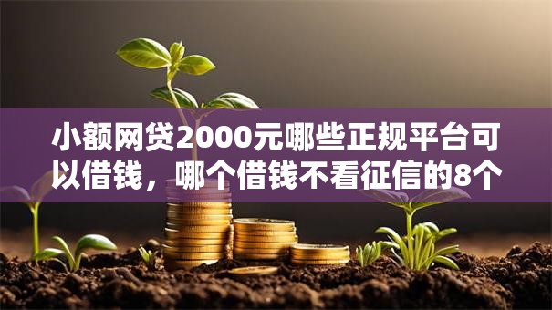 小额网贷2000元哪些正规平台可以借钱，哪个借钱不看征信的8个平台介绍