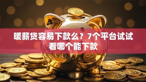 暖薪贷容易下款么？7个平台试试看哪个能下款