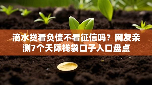 滴水贷看负债不看征信吗?网友亲测7个天际钱袋口子入口盘点 滴水贷看负债不看征信吗?网友亲测7个天际钱袋口子入口盘点