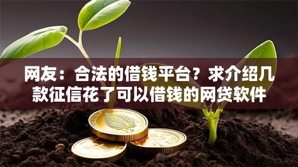 网友：合法的借钱平台？求介绍几款征信花了可以借钱的网贷软件