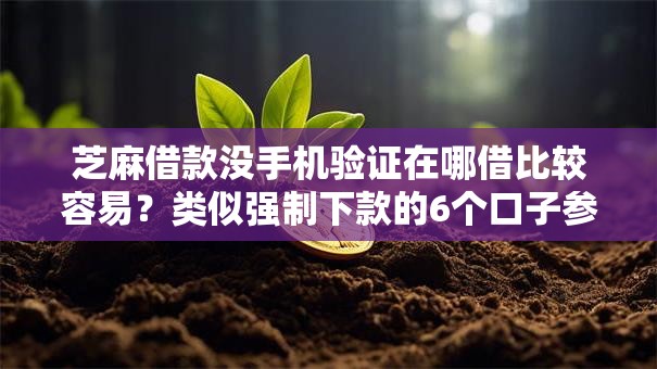 芝麻借款没手机验证在哪借比较容易？类似强制下款的6个口子参考