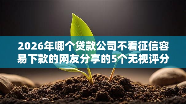 2026年哪个贷款公司不看征信容易下款的网友分享的5个无视评分的贷款软件我觉得不错！