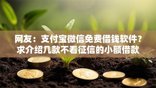 网友：支付宝微信免费借钱软件？求介绍几款不看征信的小额借款平台