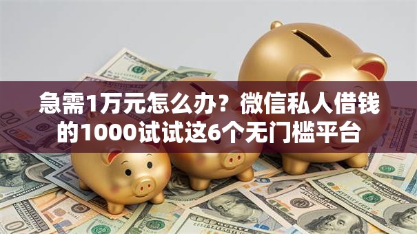 急需1万元怎么办？微信私人借钱的1000试试这6个无门槛平台