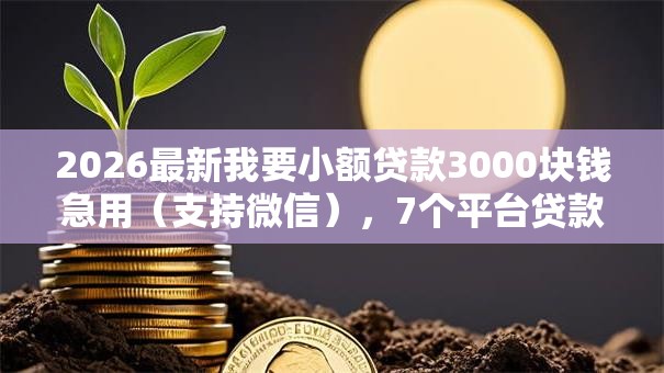 2026最新我要小额贷款3000块钱急用（支持微信），7个平台贷款快无私分享