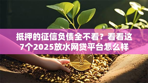 抵押的征信负债全不看？看看这7个2025放水网贷平台怎么样