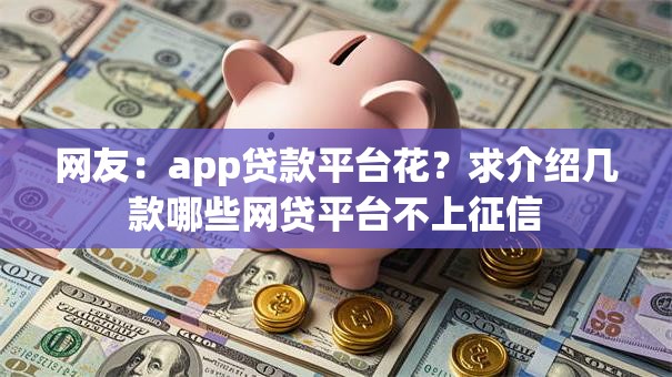 网友：app贷款平台花？求介绍几款哪些网贷平台不上征信