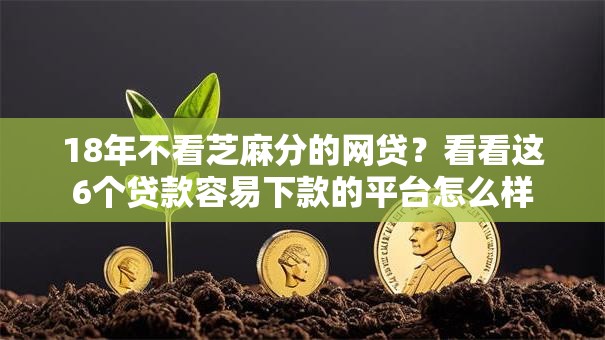 18年不看芝麻分的网贷？看看这6个贷款容易下款的平台怎么样