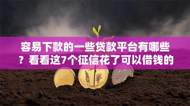 容易下款的一些贷款平台有哪些？看看这7个征信花了可以借钱的网贷口子怎么样