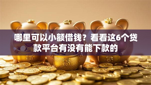 哪里可以小额借钱？看看这6个贷款平台有没有能下款的