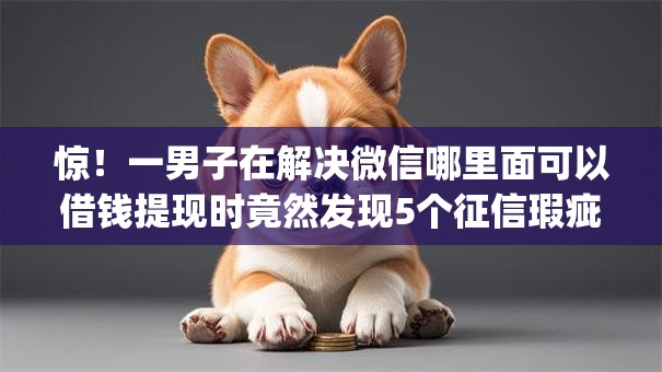 惊！一男子在解决微信哪里面可以借钱提现时竟然发现5个征信瑕疵也能借网贷轻松下款的app，事后分享了出来