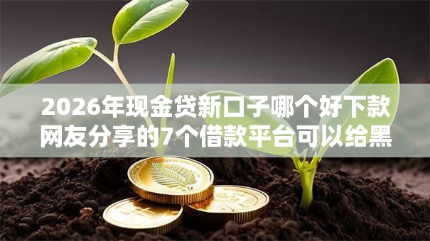 2026年现金贷新口子哪个好下款网友分享的7个借款平台可以给黑户当前有逾期的借款一万我觉得不错！