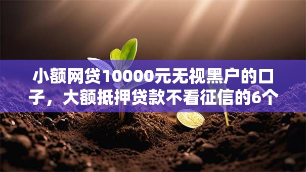 小额网贷10000元无视黑户的口子,大额抵押贷款不看征信的6个平台介绍 小额网贷10000元无视黑户的口子,大额抵押贷款不看征信的6个平台介绍