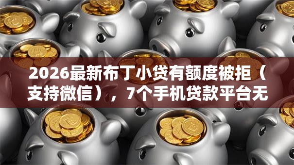 2026最新布丁小贷有额度被拒（支持微信），7个手机贷款平台无私分享