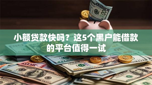 小额贷款快吗？这5个黑户能借款的平台值得一试