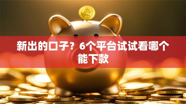 新出的口子？6个平台试试看哪个能下款