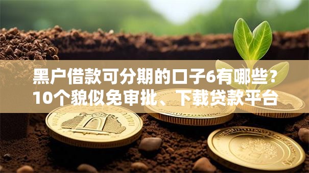 黑户借款可分期的口子6有哪些？10个貌似免审批、下载贷款平台合集