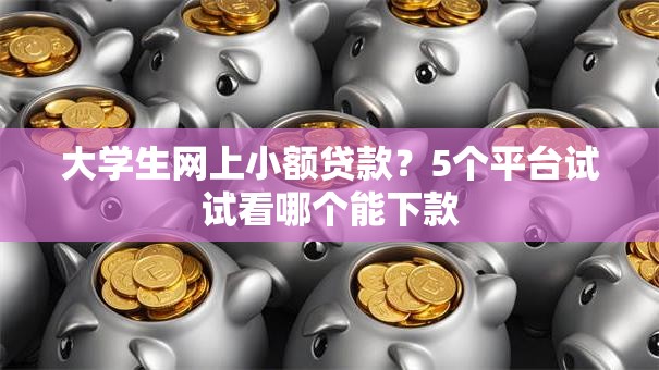 大学生网上小额贷款？5个平台试试看哪个能下款