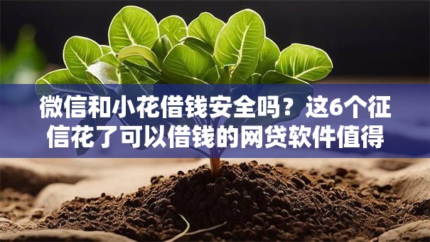 微信和小花借钱安全吗？这6个征信花了可以借钱的网贷软件值得一试