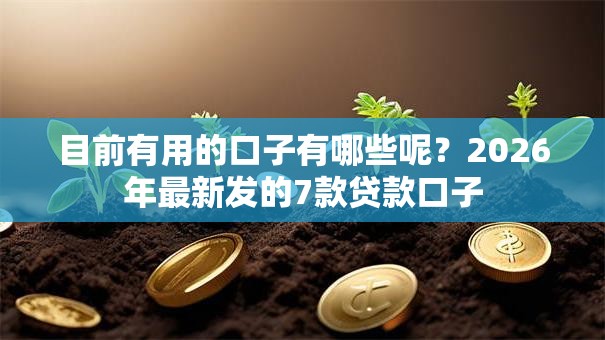 目前有用的口子有哪些呢？2026年最新发的7款贷款口子